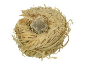 Allume-feu écologique