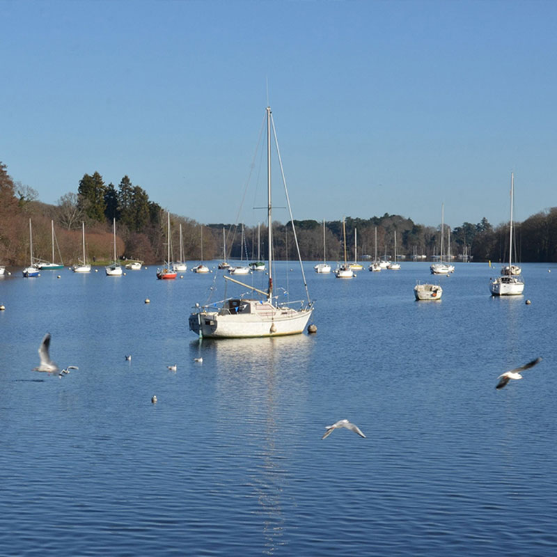 Ramonage Flamme atlantique à La Chapelle sur Erdre